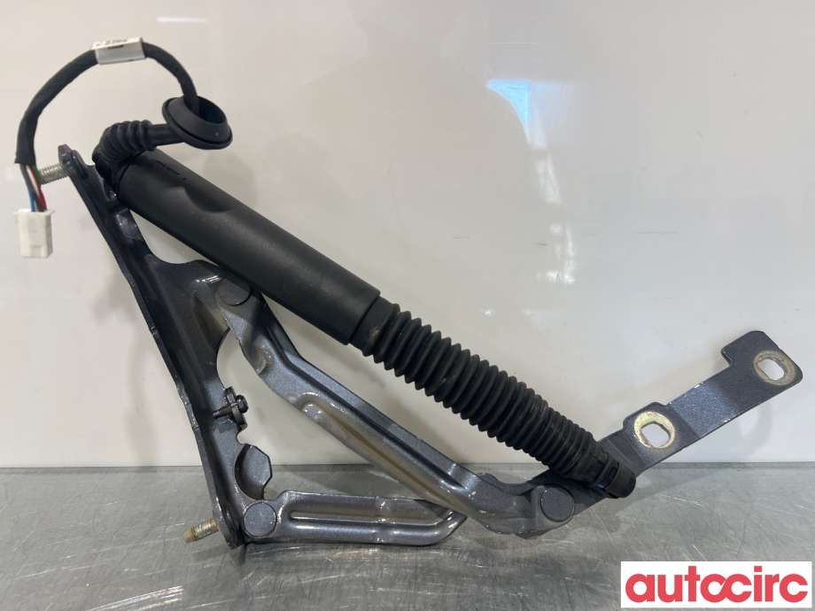 Hengsler til Tesla Model 3, 2018-2023 (Fase 1)  (TESLA|1551482-00-D)