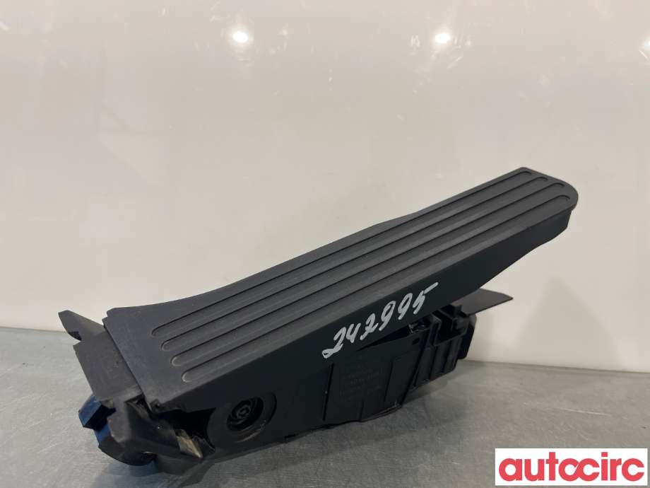 Pedal gass til XPeng G3, 2021-->>  (XPENG|3040100DB1)