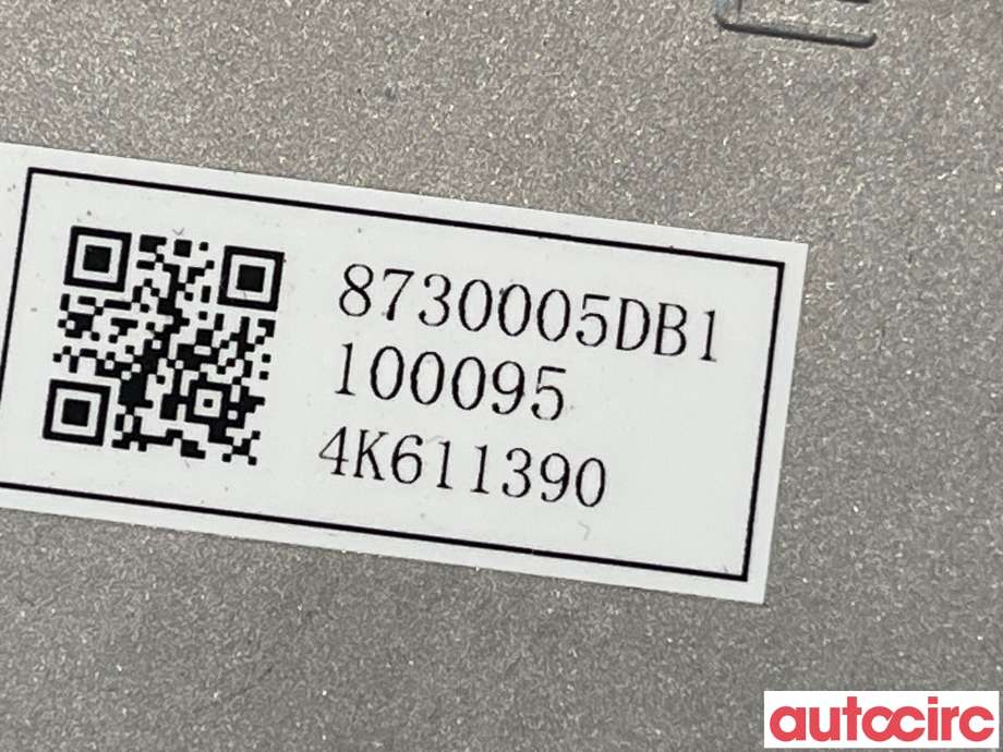 Styreenhet diverse til XPeng G3 2021-->> (XPENG|8730005DB1)