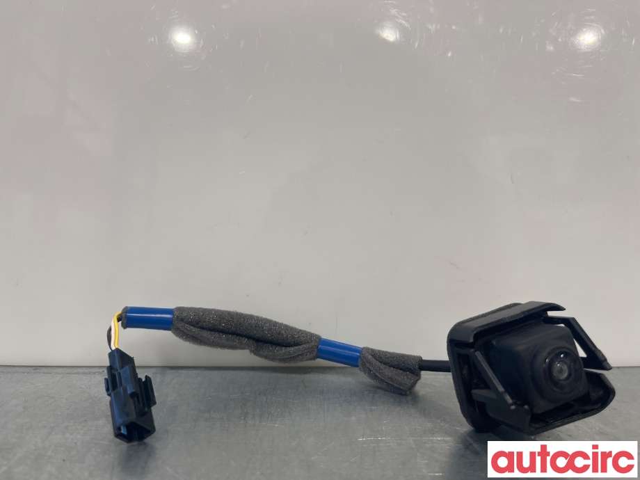 Kamera til Renault Zoe 2013-2019 (Fase 1) (RENAULT|284421319R)