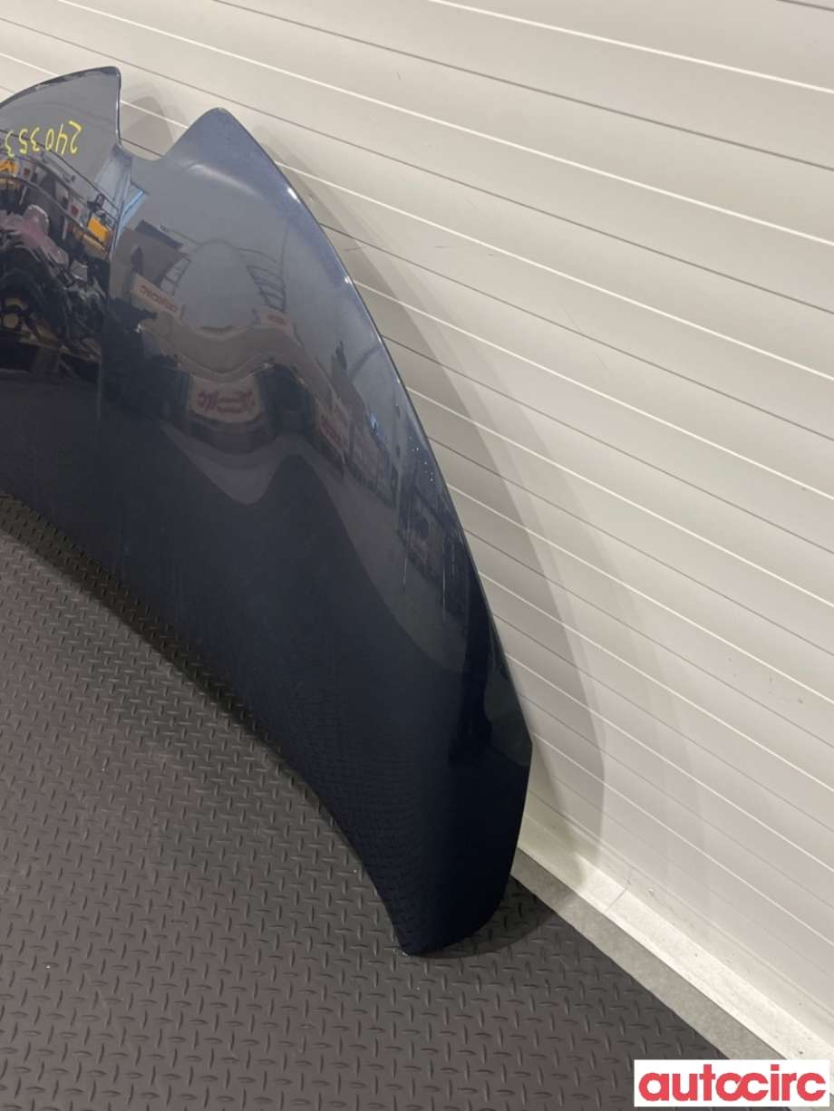 Panser til Renault Zoe 2013-2019 (Fase 1) (RENAULT|651004516R|)