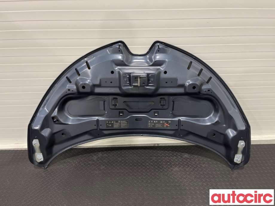 Panser til Renault Zoe 2013-2019 (Fase 1) (RENAULT|651004516R|)