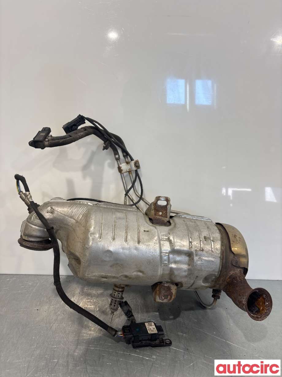 Partikkelfilter til Peugeot Partner 2019-->> (Type III) (PEUGEOT|1631621980|)