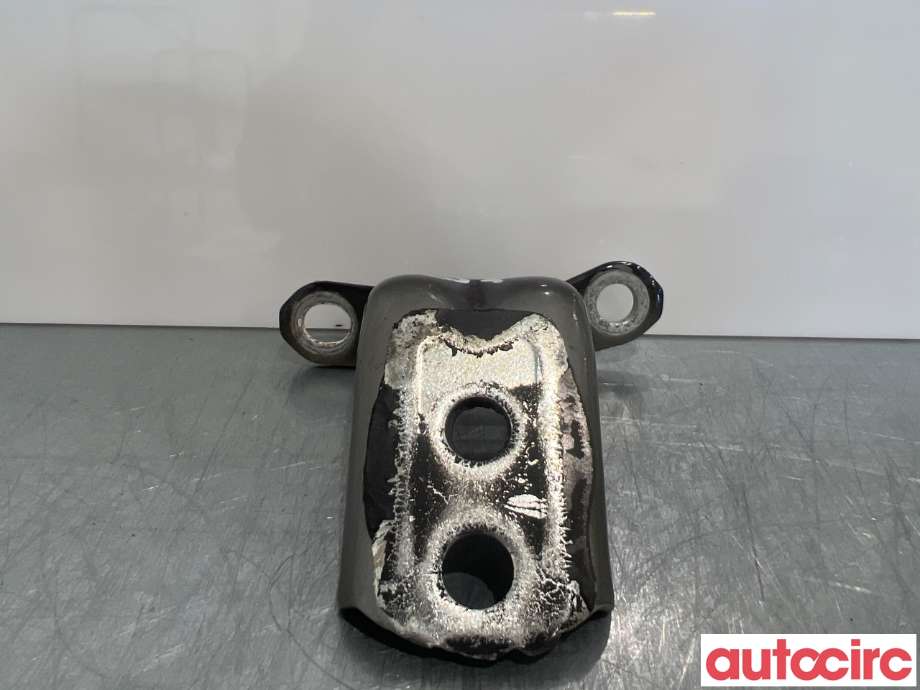 Hengsler til Nissan Qashqai, 2010-2014 (Type I, Fase 2)  (NISSAN|824212F030)