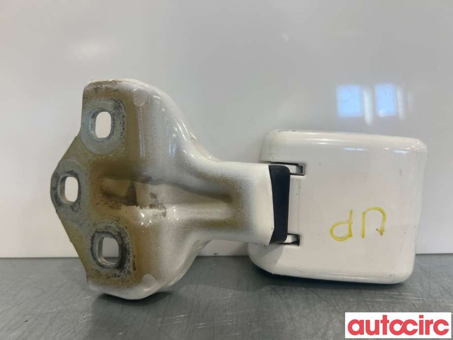 Hengsler til Toyota Proace, 2016-->> (Type II)  (TOYOTA|NO NUMBER)