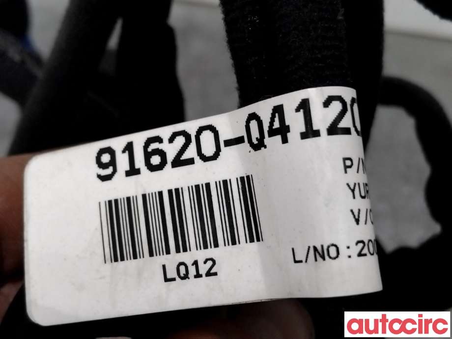 Ledningsnett til Kia Niro 2016-2021  (KIA|91620Q4120||91620-Q4120)