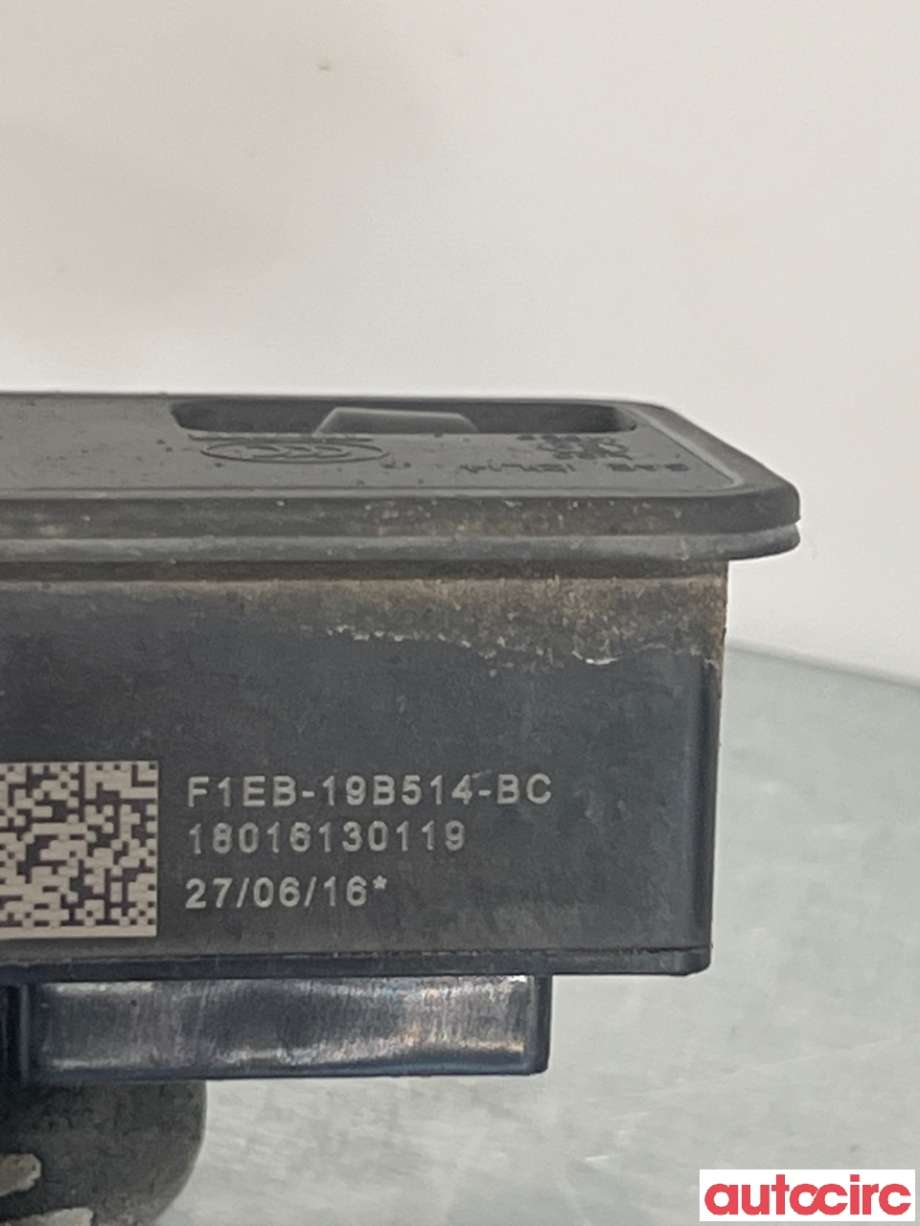 Bakluke/bakdør håndtak til Ford C-Max 2015-2019 (Type II, Fase 2) (FORD|2445415||F1EB-19B514-BC)