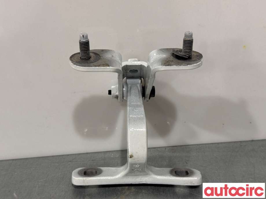 Hengsler til Tesla Model Y 2021-2024 (Type I)  (TESLA|1705135-98-A|)