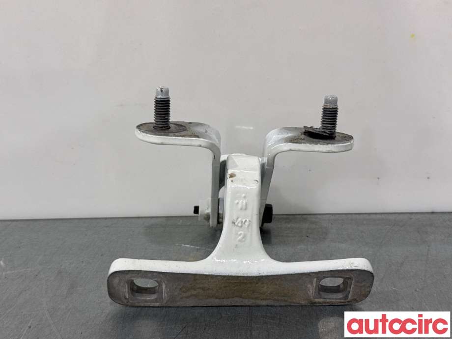 Hengsler til Tesla Model Y 2021-2024 (Type I)  (TESLA|1705135-98-A|)