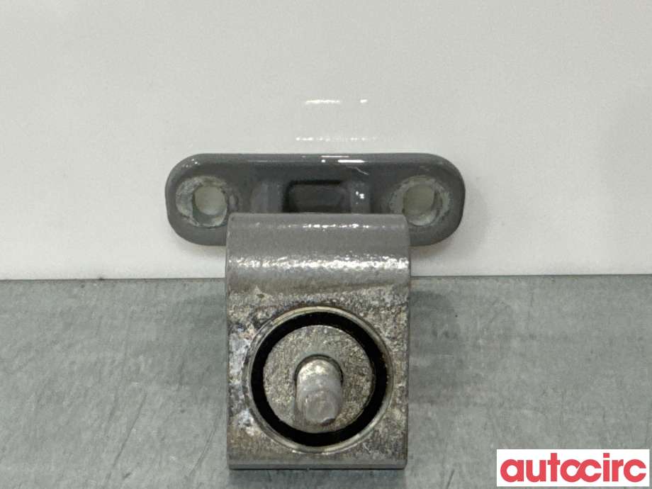 Hengsler til Audi A3 2016-2020 (Type III, Fase 2)  (AUDI|8V3827299B|)