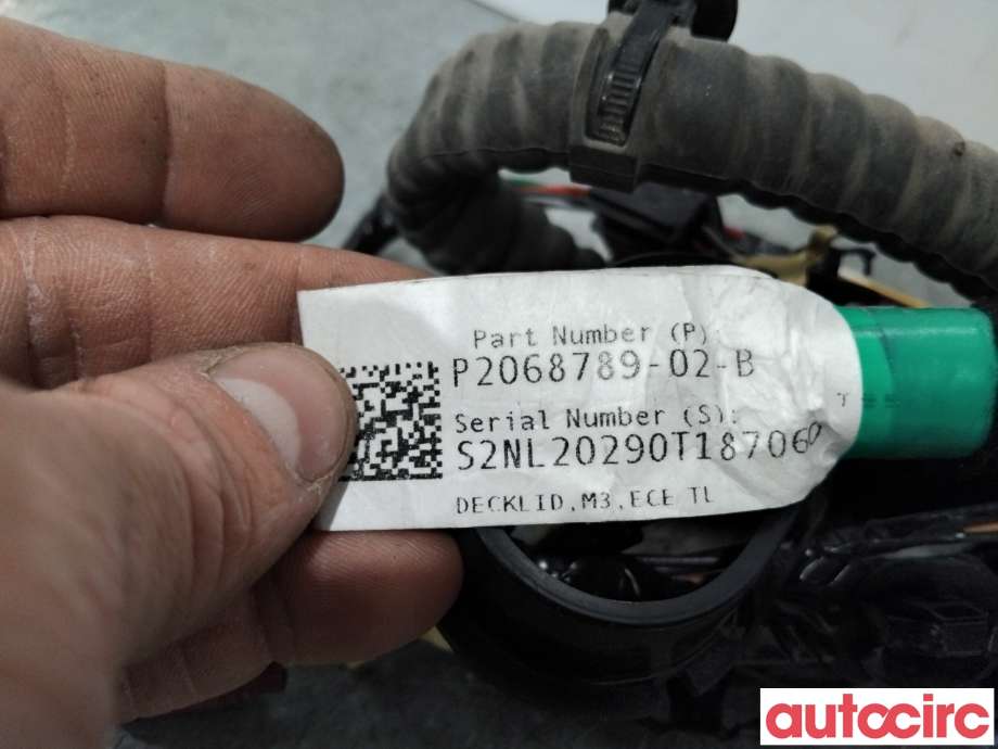 Ledningsnett til Tesla Model 3 2018-2023 (Fase 1)  (TESLA|2067968-02-B||2068789-02-B)