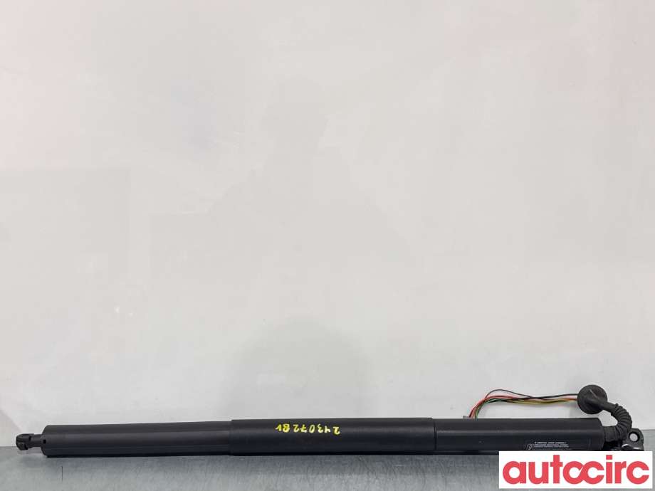 Baklukedemper til Ford Kuga, 2013-2019 (FORD|2273813)