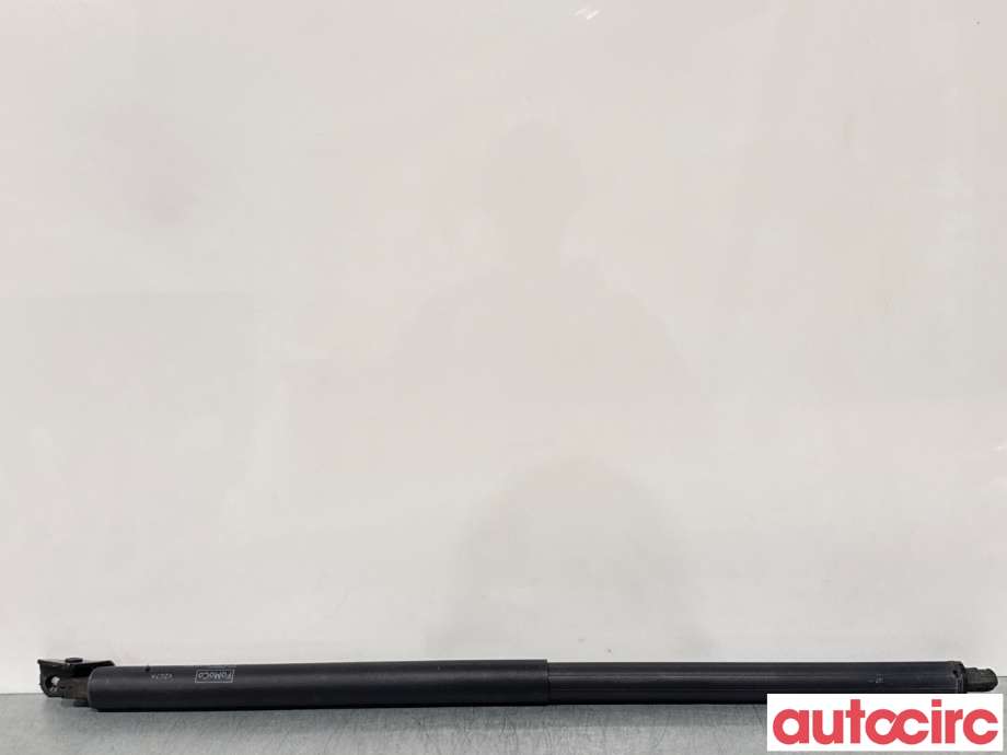 Baklukedemper til Ford Kuga 2013-2019 (FORD|5188513||CJ54-S402A74-AC)