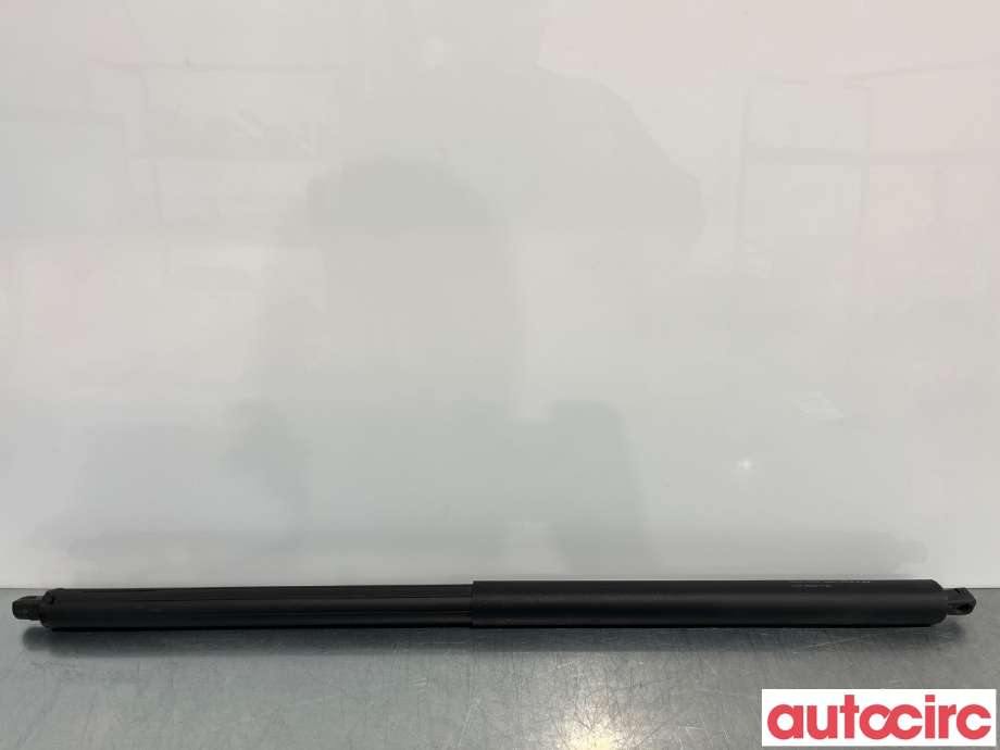 Baklukedemper til Ford Kuga, 2013-2019 (FORD|5188513)