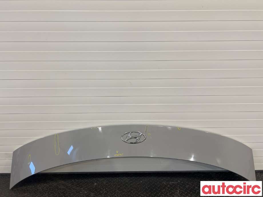 Lister til Hyundai Ioniq 5, 2021-->>  (HYUNDAI|873D0GI000)