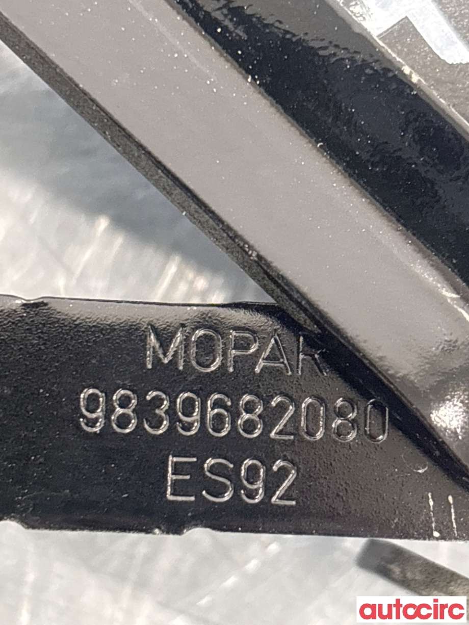 Panserhengsler til Opel Grandland X 2017-->>  (OPEL|NO NR||9839682080)
