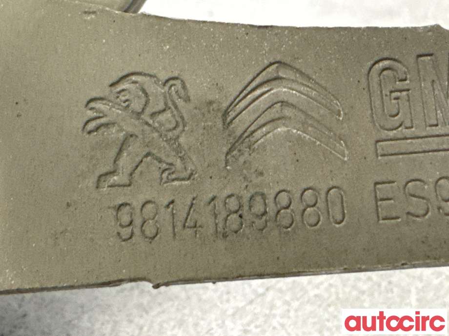 Panserhengsler til Peugeot 3008 2016-->> (Type II)  (PEUGEOT|9814189880|)
