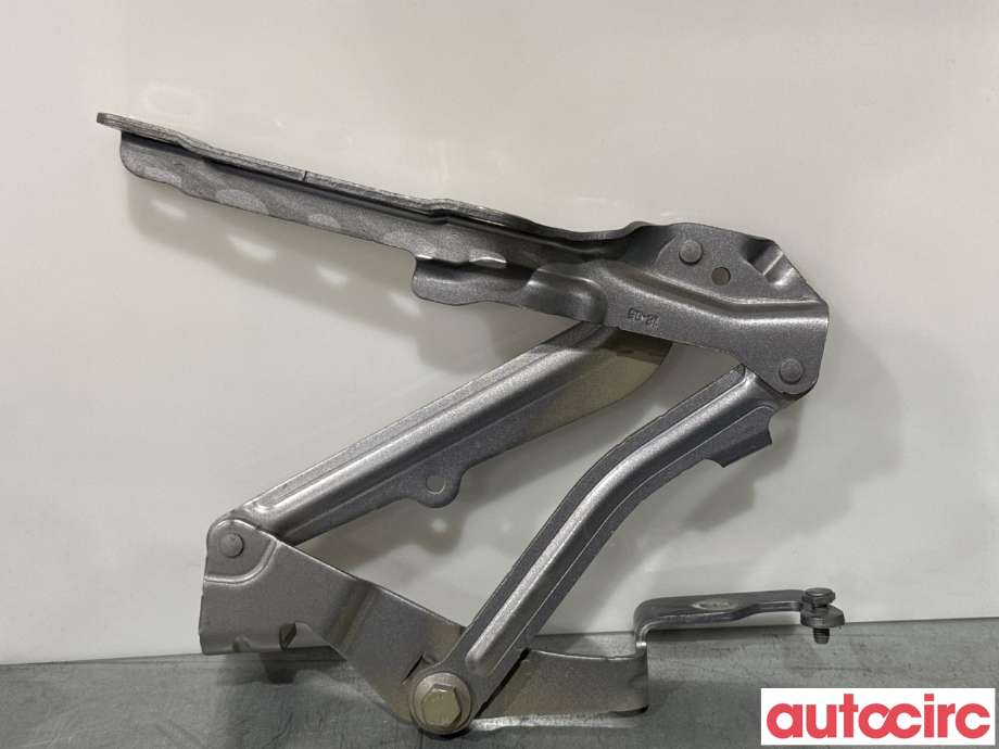 Panserhengsler til Peugeot 3008 2016-->> (Type II)  (PEUGEOT|9814188880|)