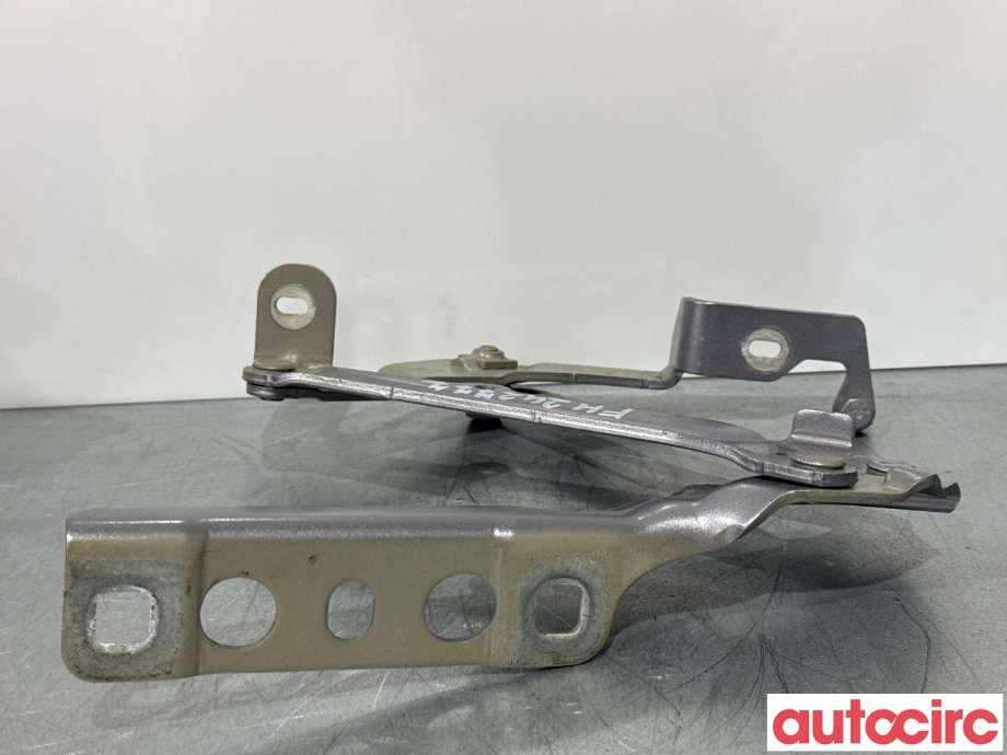 Panserhengsler til Peugeot 3008 2016-->> (Type II)  (PEUGEOT|9814188880|)