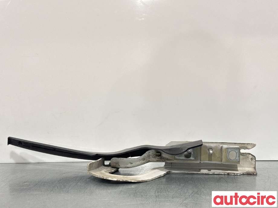 Panserhengsler til Peugeot Expert 2007-2016 (Type II)  (PEUGEOT|791296|)