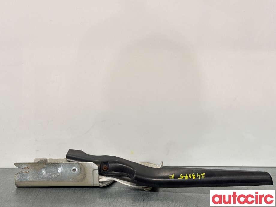 Panserhengsler til Peugeot Expert 2007-2016 (Type II)  (PEUGEOT|791296|)