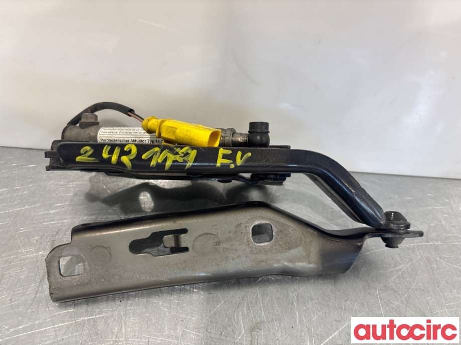 Panserhengsler til Audi A3 2012-2016 (Type III, Fase 1)  (AUDI|8V0823301F|)