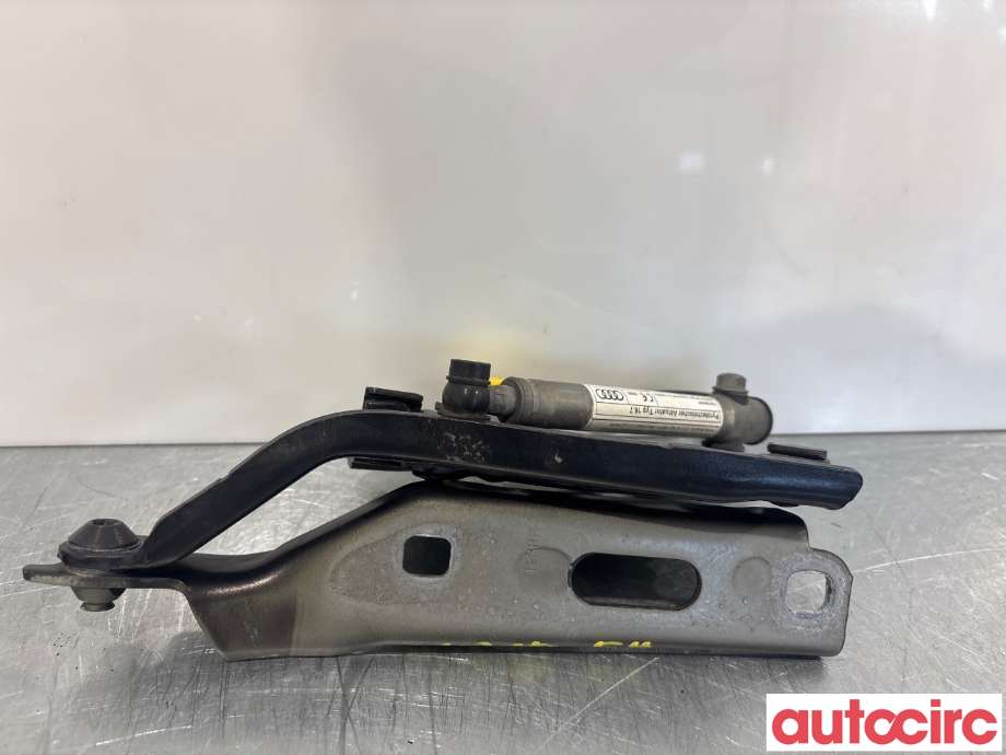 Panserhengsler til Audi A3 2012-2016 (Type III, Fase 1) (AUDI|8V0823302F|)