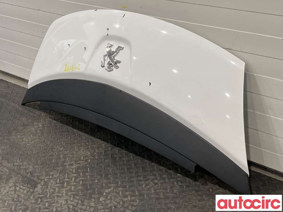Panser til Peugeot iOn 2011-2020 (PEUGEOT|1607866780)