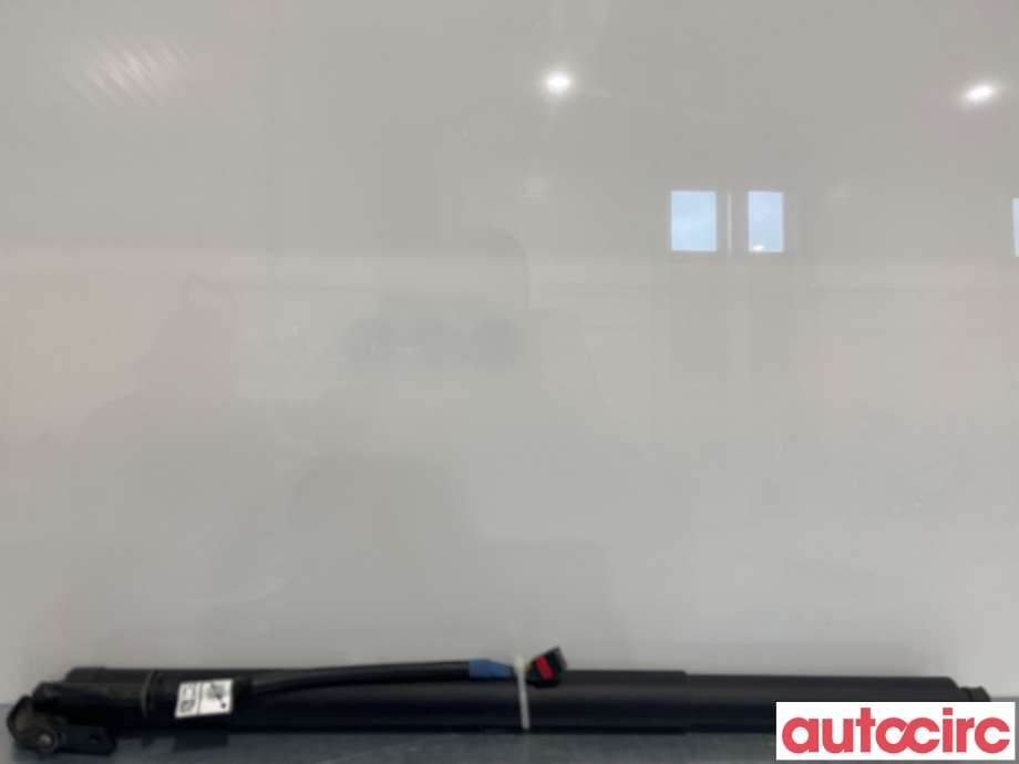 Baklukedemper til Nissan Qashqai, 2021-->> (Type III)  (NISSAN|905616UA0C)