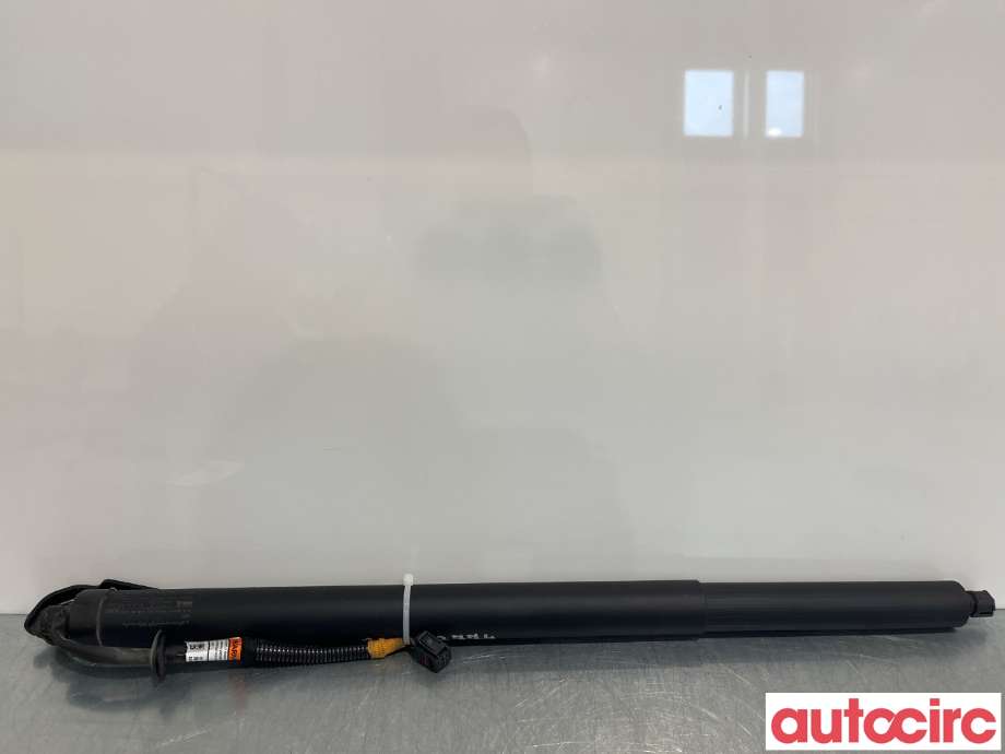Baklukedemper til Nissan Qashqai, 2021-->> (Type III)  (NISSAN|905606UA0A)