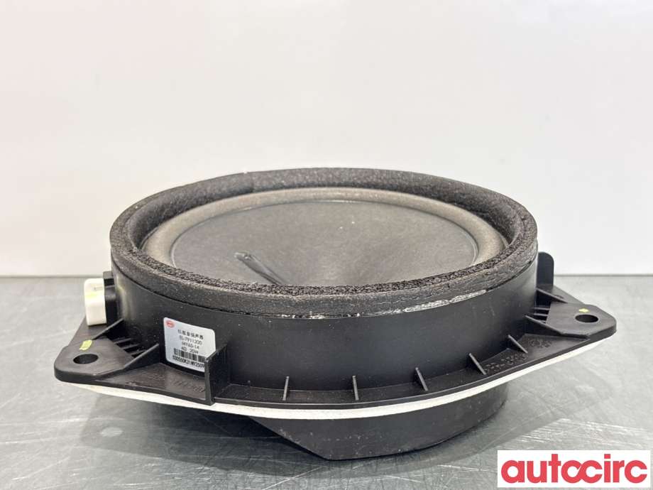 Bilstereo høyttaler til BYD Atto 2022-->> (BYD|EL-7911200|MY65-14)