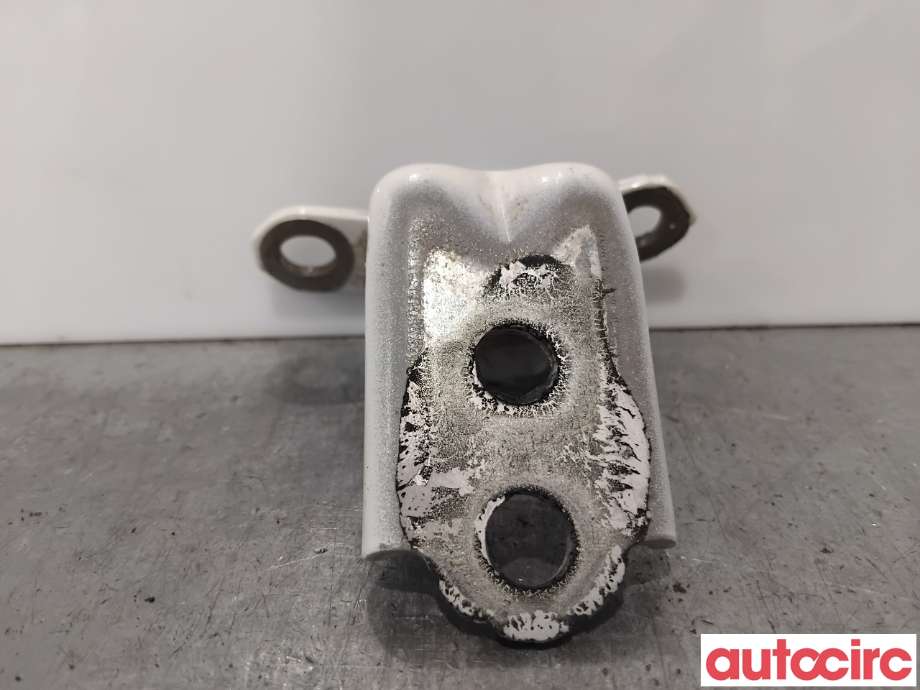 Hengsler til Nissan Qashqai 2021-->> (Type III)  (NISSAN|804206UA1A|)
