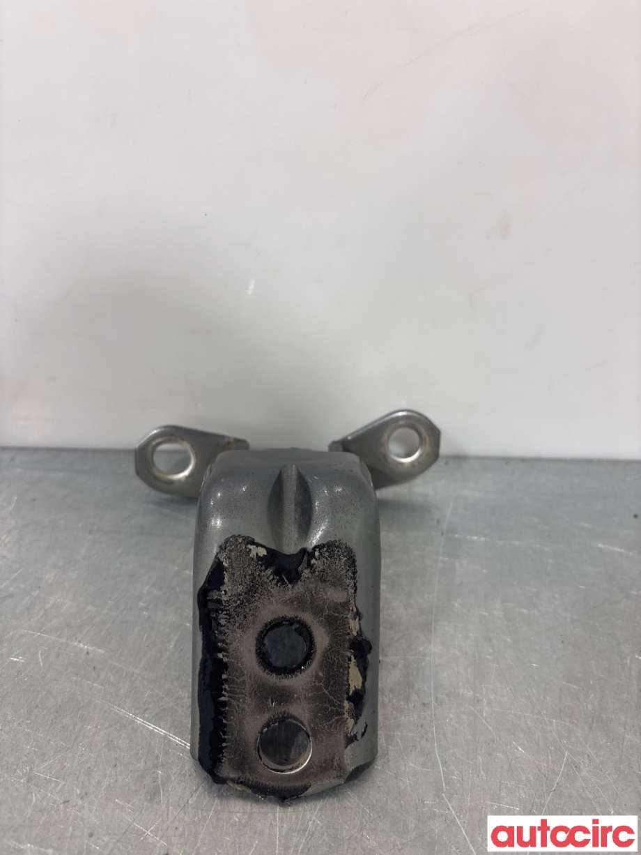 Hengsler til Nissan Leaf, 2011-2017 (Type I)  (NISSAN|82420AG000)
