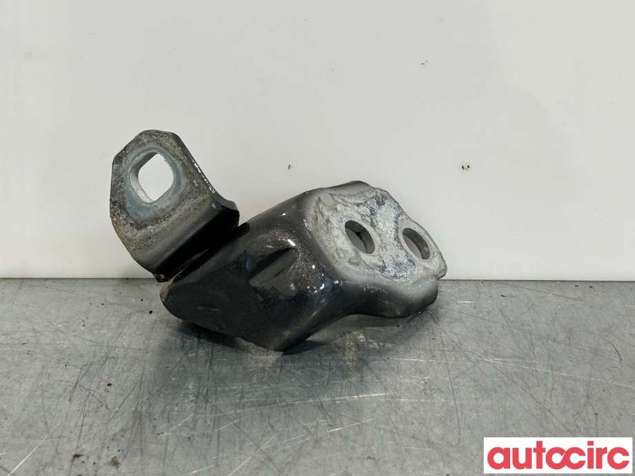 Hengsler til Ford Transit Connect 2013-2018 Type II, Fase 1  (FORD|5199141|CJ54-S22811-AC)