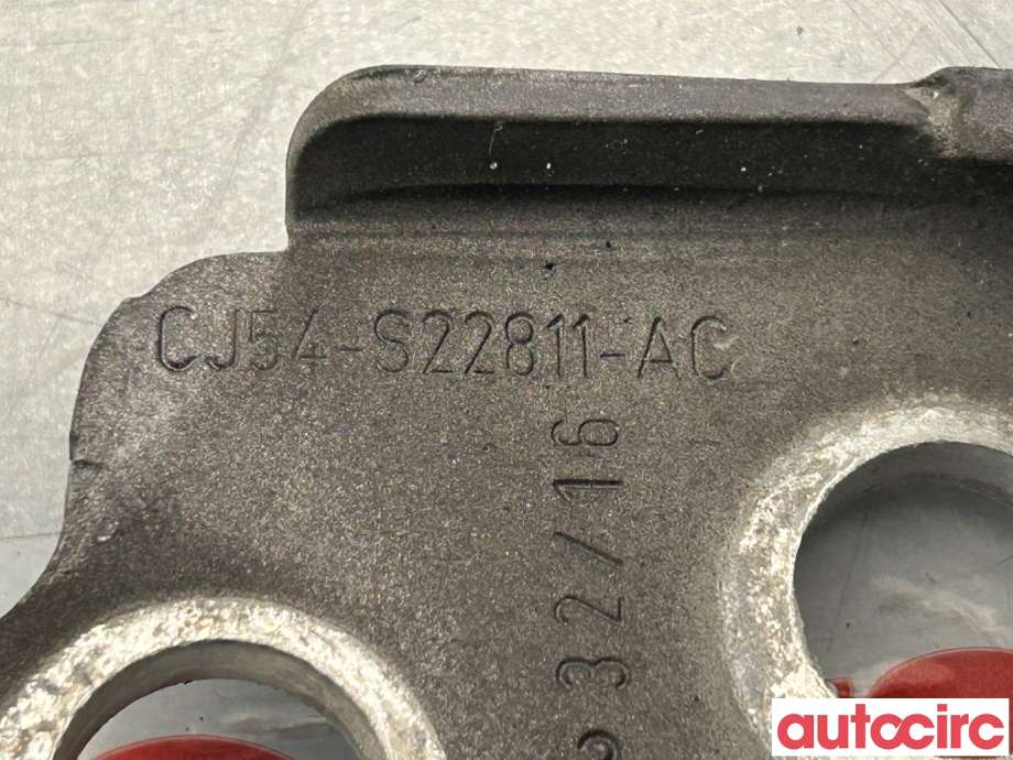 Hengsler til Ford Transit Connect 2013-2018 Type II, Fase 1  (FORD|5199141|CJ54-S22811-AC)