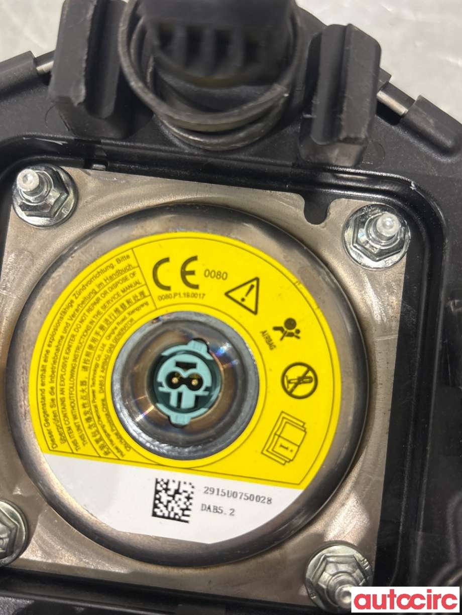 Airbag rattpute til Tesla Model Y 2021-2024 (Type I)  (TESLA|1626617-00-C||1626617-00-B)