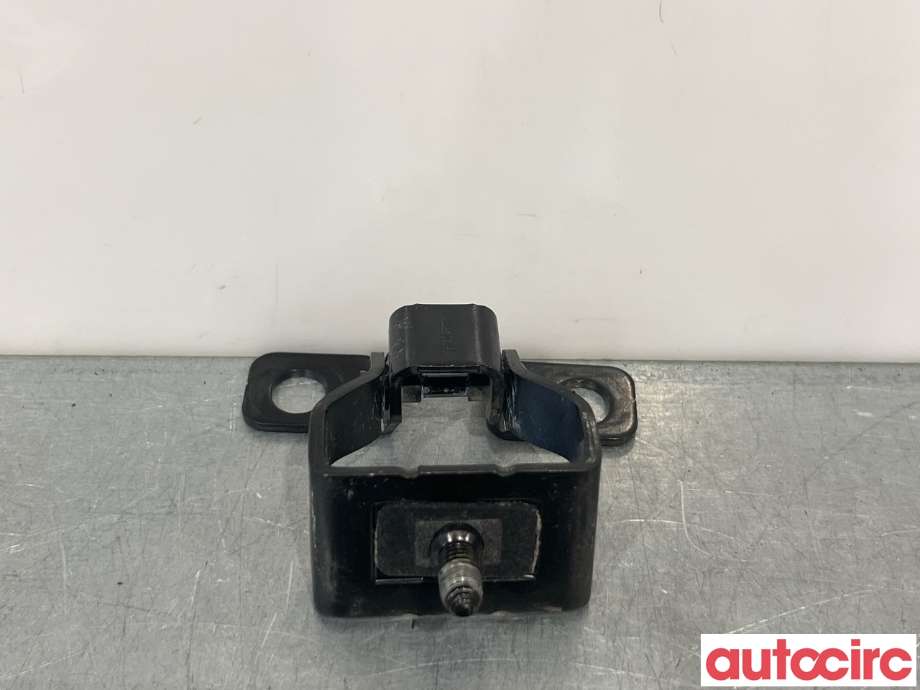 Hengsler til Peugeot 308 2013-2021 (Type II) (PEUGEOT|9678795880|)