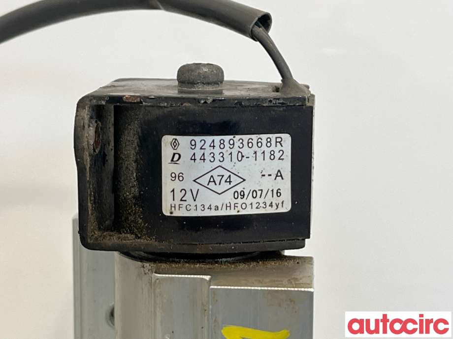 Diverse deler til Renault Zoe 2013-2019 (Fase 1)  (RENAULT|924893668R|443310-1182)