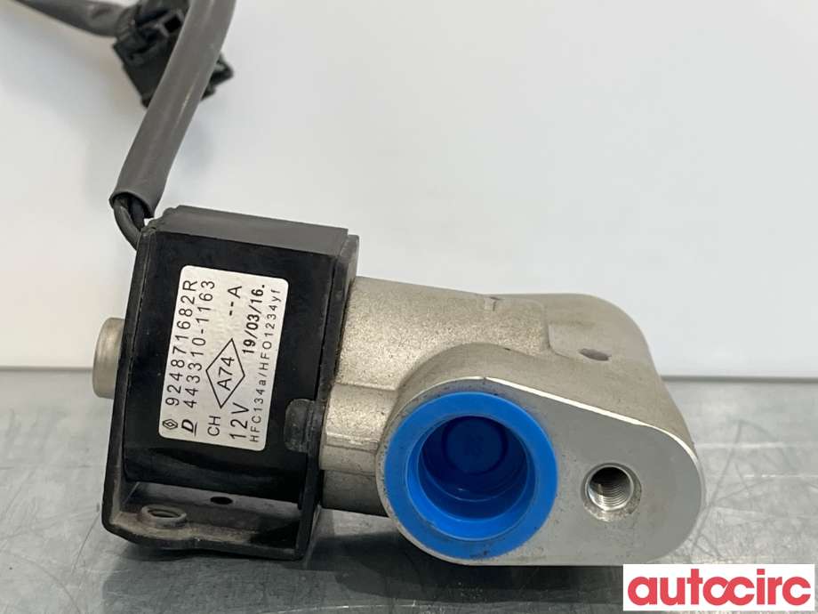 Diverse deler til Renault Zoe 2013-2019 (Fase 1)  (RENAULT|924876913R|443310-1163)