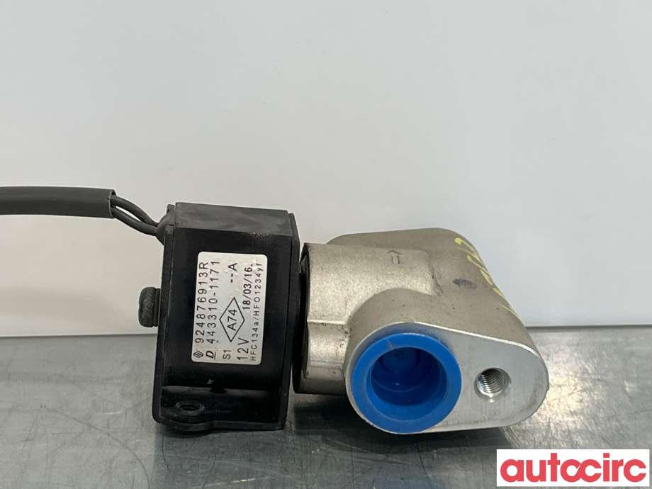 Diverse deler til Renault Zoe 2013-2019 (Fase 1)  (RENAULT|924876913R|443310-1171)