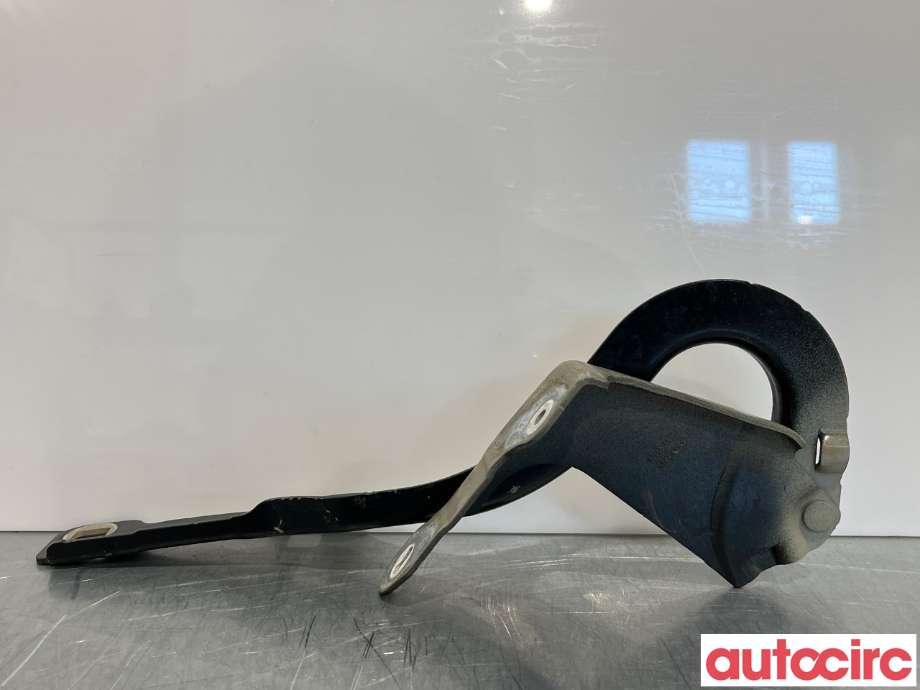 Panserhengsler til Peugeot 308, 2013-2021 (Type II)  (PEUGEOT|9677784880)