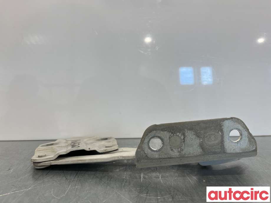 Panserhengsler til VW Caddy 2010-2015 (Type III, Fase 2)  (VOLKSWAGEN|1T0823301E)