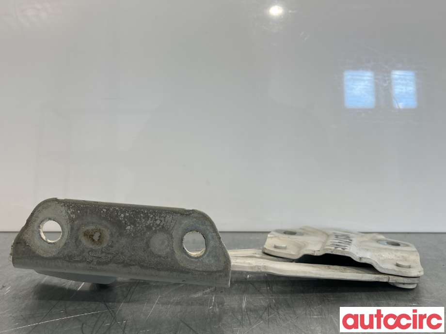 Panserhengsler til VW Caddy 2010-2015 (Type III, Fase 2) (VOLKSWAGEN|1T0823302E)
