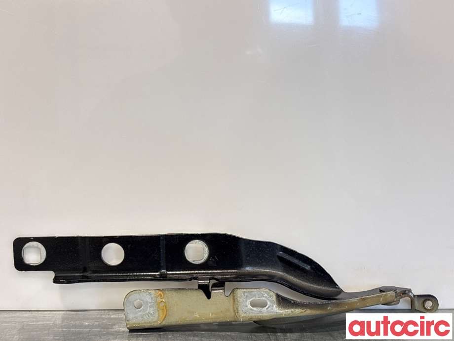 Panserhengsler til Citroën C4, Cactus 2018-2021 (Fase 2) (CITROEN|9801113880|)