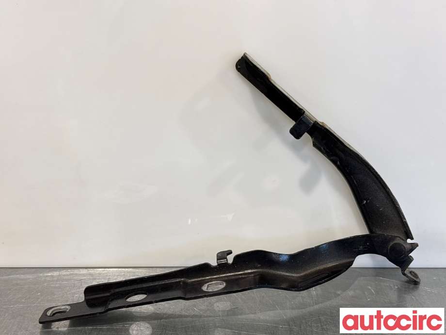 Panserhengsler til Citroën C4, Cactus 2018-2021 (Fase 2)  (CITROEN|9801113980|)