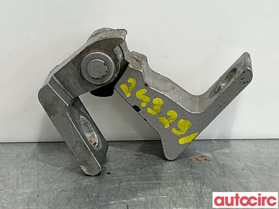 Hengsler til VW e-Golf 2014-2017 (Fase 1)  (VOLKSWAGEN|8K0831401G||8K0831401K)