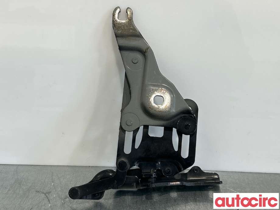 Panserhengsler til BMW X5 2007-2013 (E70) (E70) (BMW|41007198617||714834710)