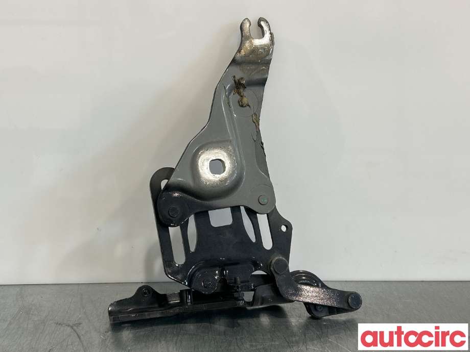 Panserhengsler til BMW X5 2007-2013 (E70) (E70) (BMW|41007198618||714834811)