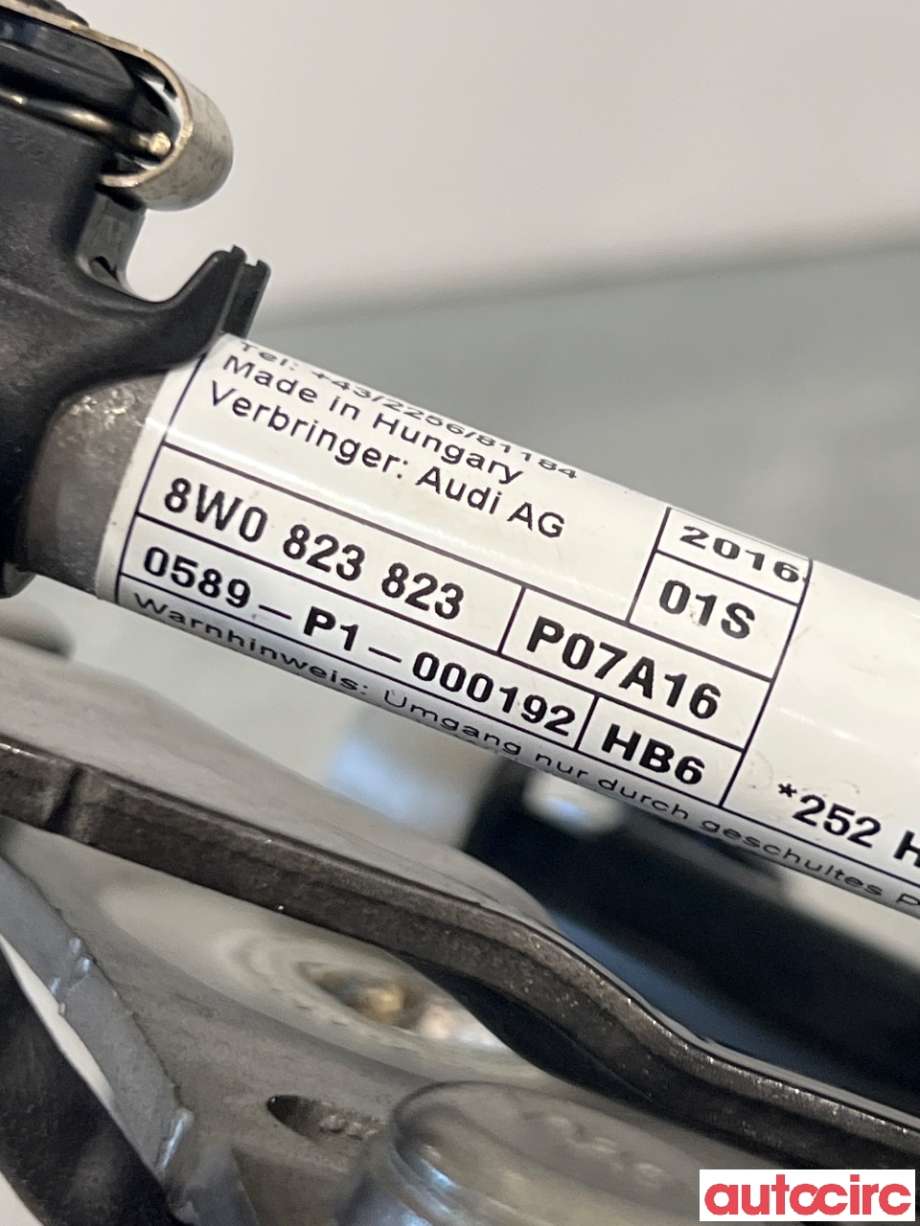 Panserhengsler til Audi A4 2015-2019 (Type V, Fase 1) (B9) (B9) (AUDI|8W0823301E|8W0823823)