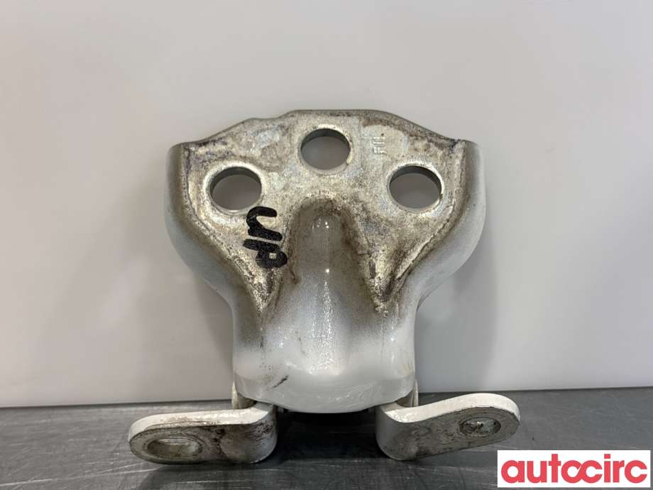 Hengsler til MG ZS EV 2019-2021 (Type I, Fase 1)  (MG|50011521|)